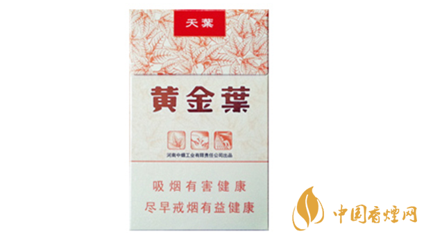 黃金葉天葉真?zhèn)卧趺幢鎰e？天葉真假如何看？