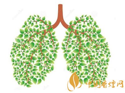 相比癌癥慢阻肺疾病離吸煙者更近！