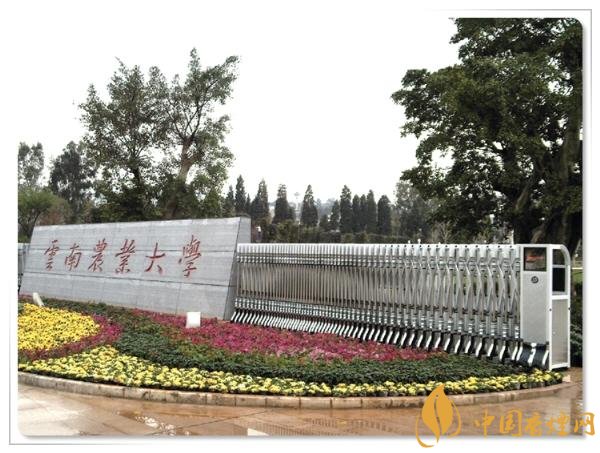 煙草專業(yè)大學(xué)排名，煙草專業(yè)就業(yè)前景好