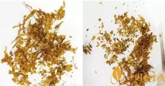 冬蟲夏草（和潤）真假鑒別，春節(jié)防止被騙