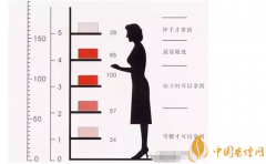 卷煙陳列技巧有哪些 零售終端卷煙陳列技巧方法圖解