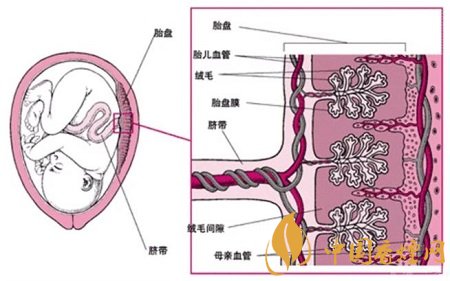 煙草對嬰兒的傷害有哪些 科學(xué)家已證明實際危害